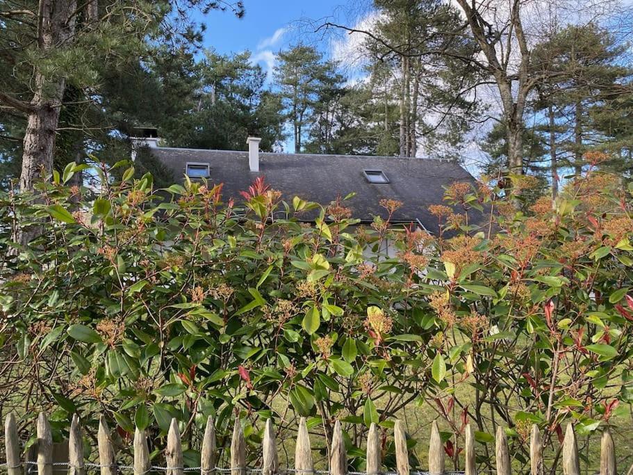 Le Rosa: Villa De Charme Entre Mer Et Pinede กองด์ ภายนอก รูปภาพ
